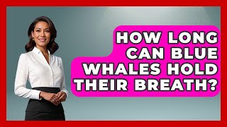 How Long Can Blue Whales Hold Their Breath? - The Marine Life Explorer How Long Can Whales Hold Their Breath