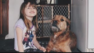 New court evidence, allegations about St. Louis County animal shelter