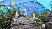 映画 ファインディング ニモ 3d 予告編 Youtube