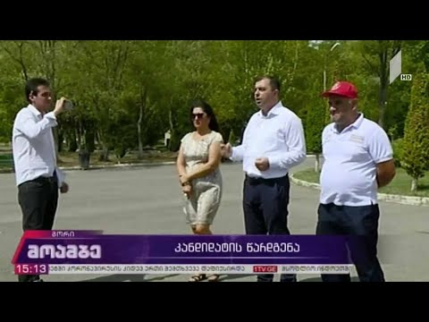 „თავისუფალმა საქართველომ“ გორის მაჟორიტარი კანდიდატი წარადგინა