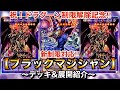 【遊戯王】祝！ドラグーン制限解除記念‼︎新制限対応ブラックマジシャン【デッキ＆展開紹介】