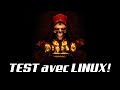 Diablo 2 Resurrected, test sur linux