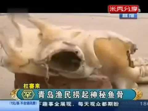 Video: In Cina, Trovato Lo Scheletro Di Un Drago Di 20 Metri? - Visualizzazione Alternativa