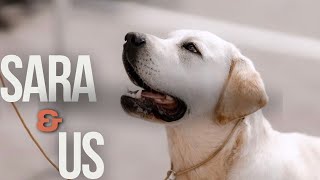 Introducing SARA | SARA&US | saravinsetai