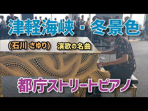 【都庁ピアノ】演歌の名曲「津軽海峡・冬景色」を弾いてきました / Japanese street piano performance