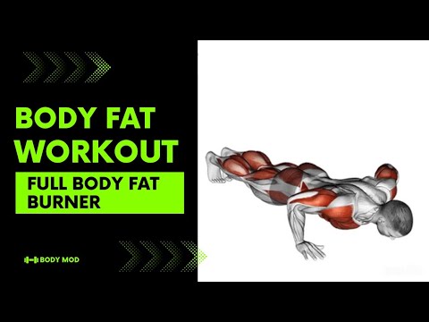 FULL BODY FAT BURNING WORKOUT AT HOME | NO EQUIPMENT NEEDED - YouTube
