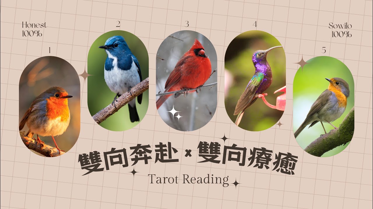 一定會有一個人與你雙向奔赴｜與你雙向奔赴&療癒的愛情/友情會是誰？｜超療癒的占卜｜不完美講師Sowilo