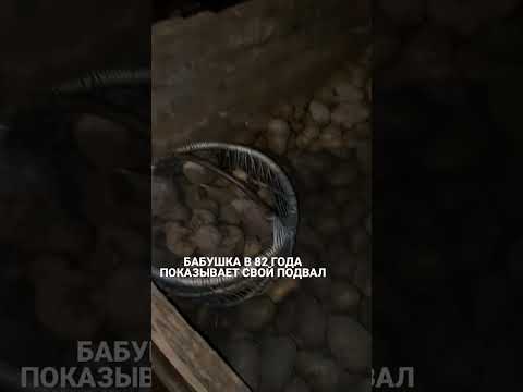 Бабушка в 82 года продолжает сажать огород #старики #заброшенныедеревни #shortsvideo