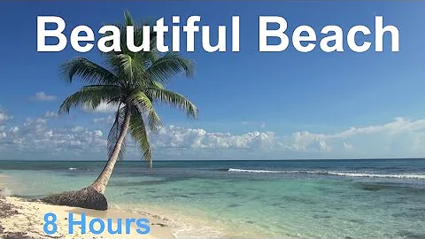 Relaxing 8 Hour Video of A Tropical Beach with Blue Sky White Sand and Palm Tree