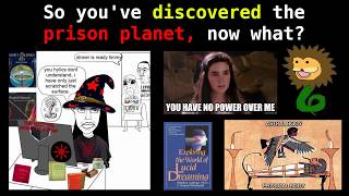 Escape Tactics For The Prison Planet