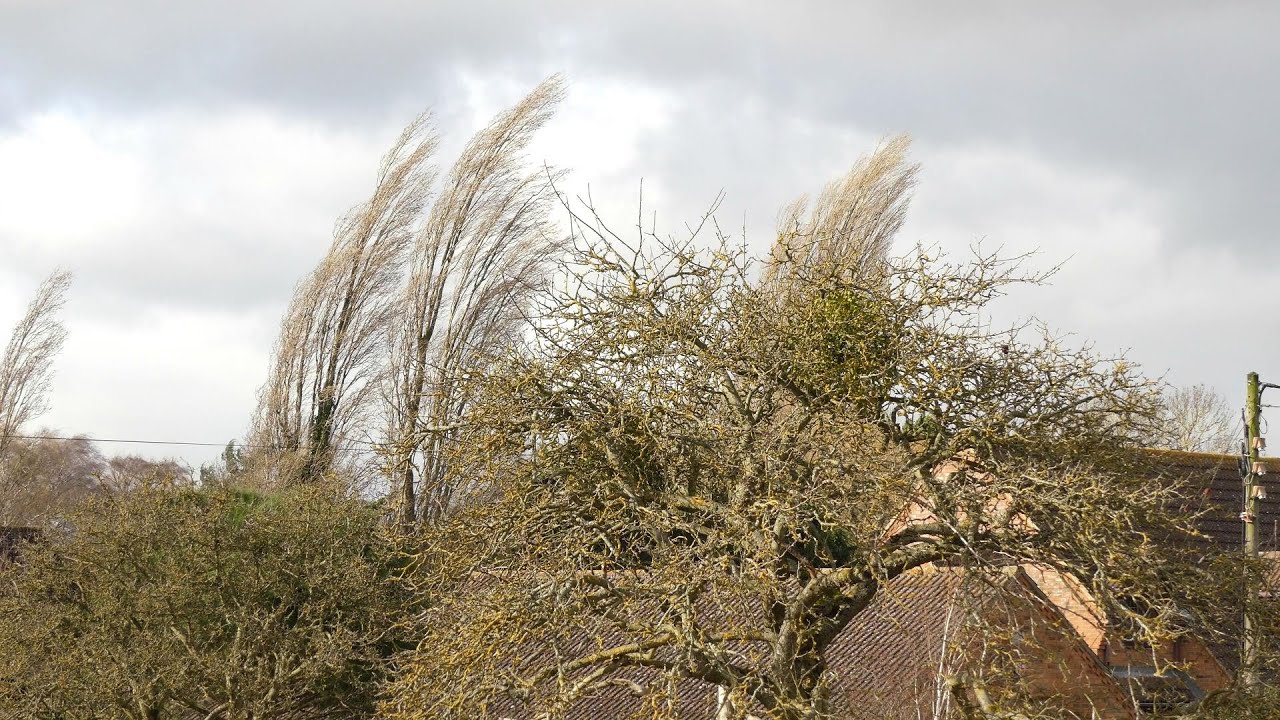 Storm Eunice - Bedford, UK (18 February 2022)