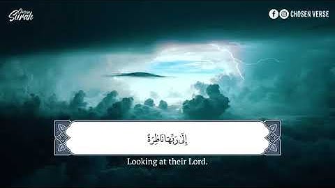 Surah Al Qiyamah   تلاوة سورة القيامة بصوت مؤثر للقارئ شريف مصطفى