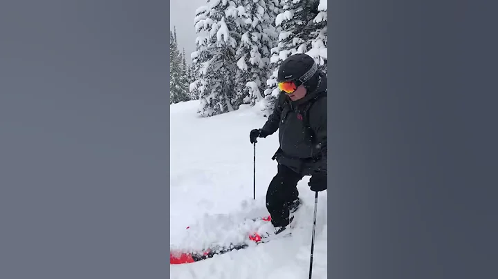 Powder Turns at Castle Mountain