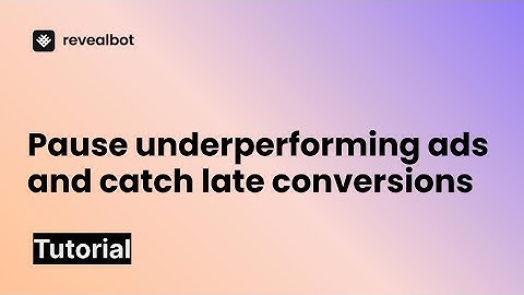 Pause underperforming ads and catch late conversions