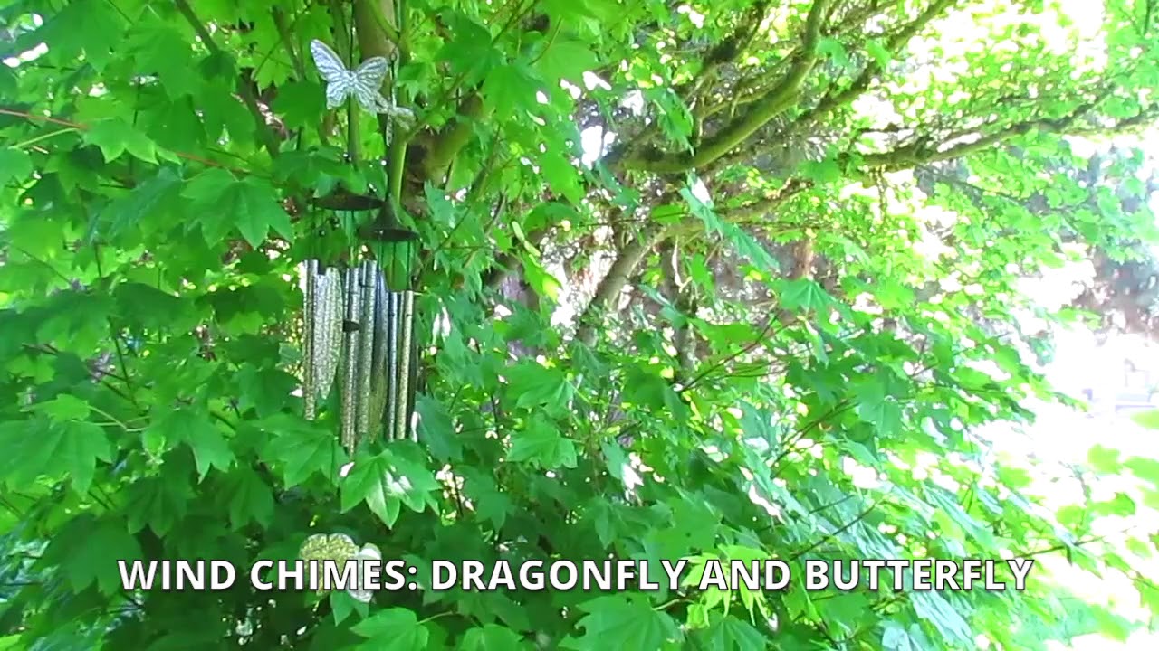 products of glycolysis wind chimes: dragonfly and butterfly