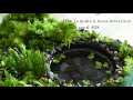 小さな池のある苔テラリウムの作り方｜How to make a terrarium with a pond #28