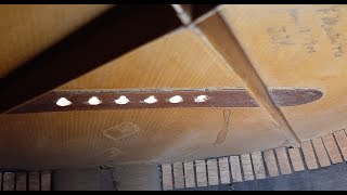 Inside a rare 1840's Martin Guitar