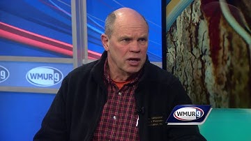 NH maple producers encouraging young people to get involved