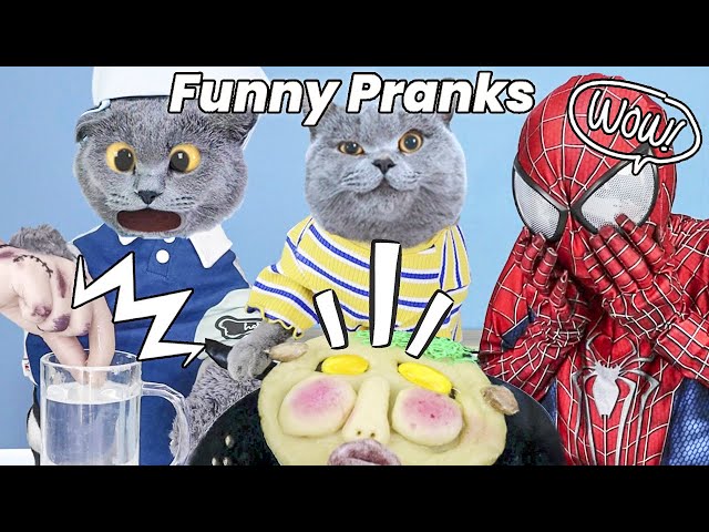 Oscar's Video Makes You Can't Take Your Eyes Off !😎| Oscar‘s Funny World | New Funny Cat Videos 2023 class=