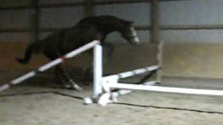 MVI_0736.AVI