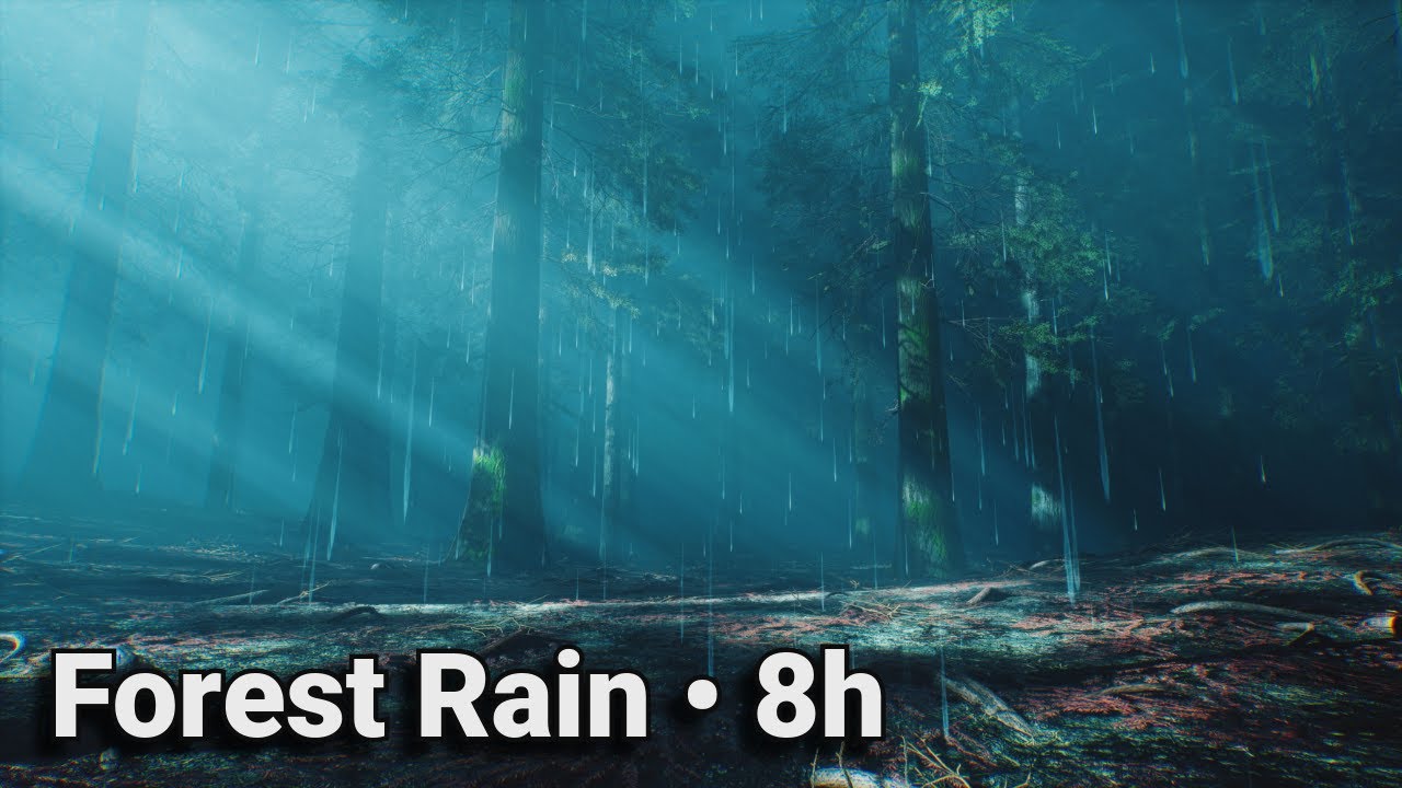 8 Hours of FOREST RAIN for DEEP Sleep and Focused Study