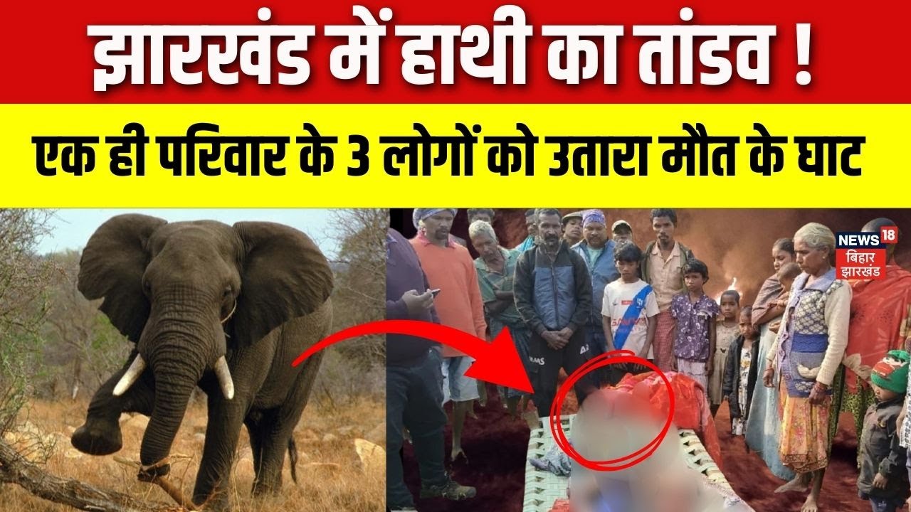 Breaking News : झारखंड में हाथी का तांडव ! 1 ही परिवार के 3 लोगों  उतारा मौत के घाट | Jharkhand News