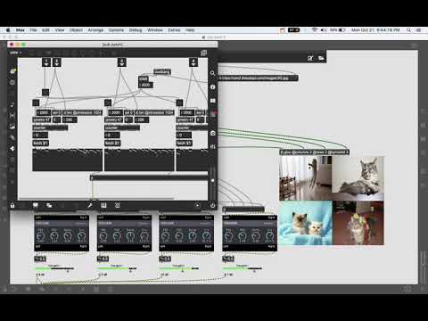 Node-for-Max Supplemental - Cat-Wall