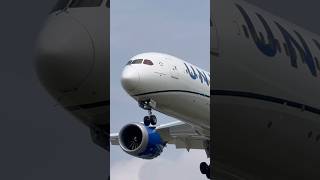 UNITED 787 LANDING (LHR) #planeztv #airplane #aviation #b787 #planespotting #united #londonheathrow