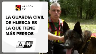 La Guardia Civil de Huesca es la que tiene más perros de rescate