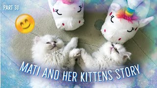 Mati and her kittens. Story 30^:^ by Zen Tavra 93,406 views 3 years ago 3 minutes