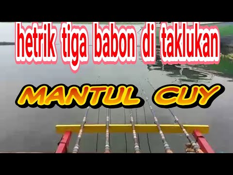 setrike-tiga-babon/mancing-jangari-cirata