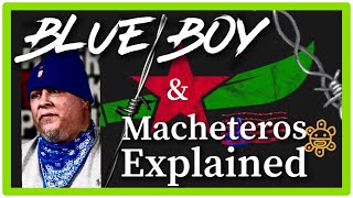 Blue Boy , Crips and Macheteros explained #blueboy #rikersisland #puertorico #onthelockout #singsing