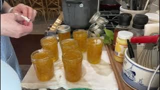 Make Lemon-Ginger Marmalade with me 🍋🍋