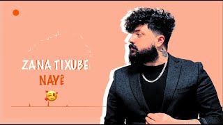 نايه ده نايه _ Zana Tixube Nayê De Nayê