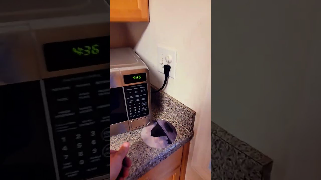 Something That Shocked Me In The Microwave 