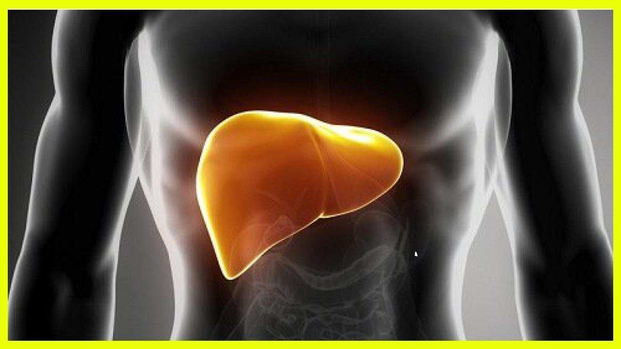 脂肪 肝 を 治す 方法