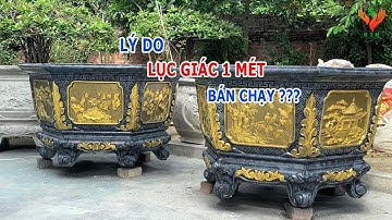 Lý do khuôn chậu lục giác giác 1m bán chạy nhất | Khuôn Tổng Hợp