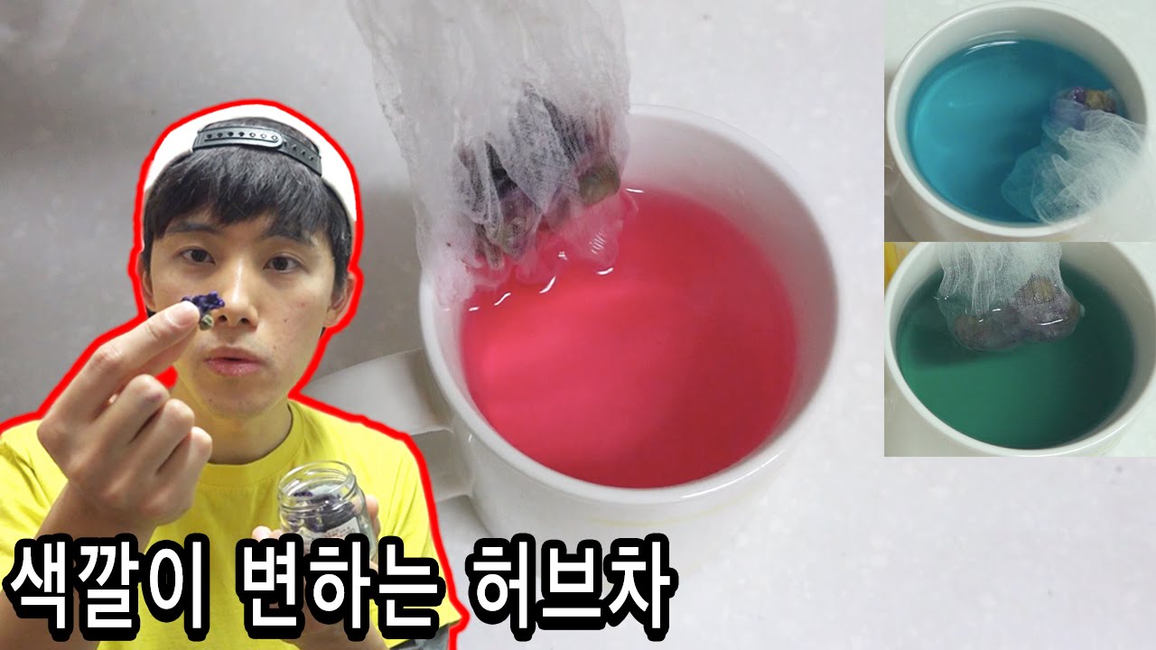 색깔이 변하는 허브차 전설의 블루멜로우를 마셔보았다 허팝 Blue Mallow Tea Youtube