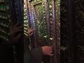 لحظة دخول السيد جاسم الطويرجاوي الى قبر السيدة خولة ع لحظة دخول السيد جاسم الطويرجاوي الى قبر السيدة خولة ع