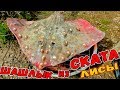 ШАШЛЫК ИЗ СКАТА. МОРСКАЯ ЛИСА НА костре