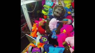 freddy fazbear in claw machin