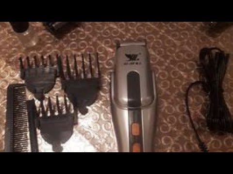 Mushukni soqol olish video Mushukni soqol olish video