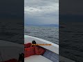 We got a surprise on our way back!