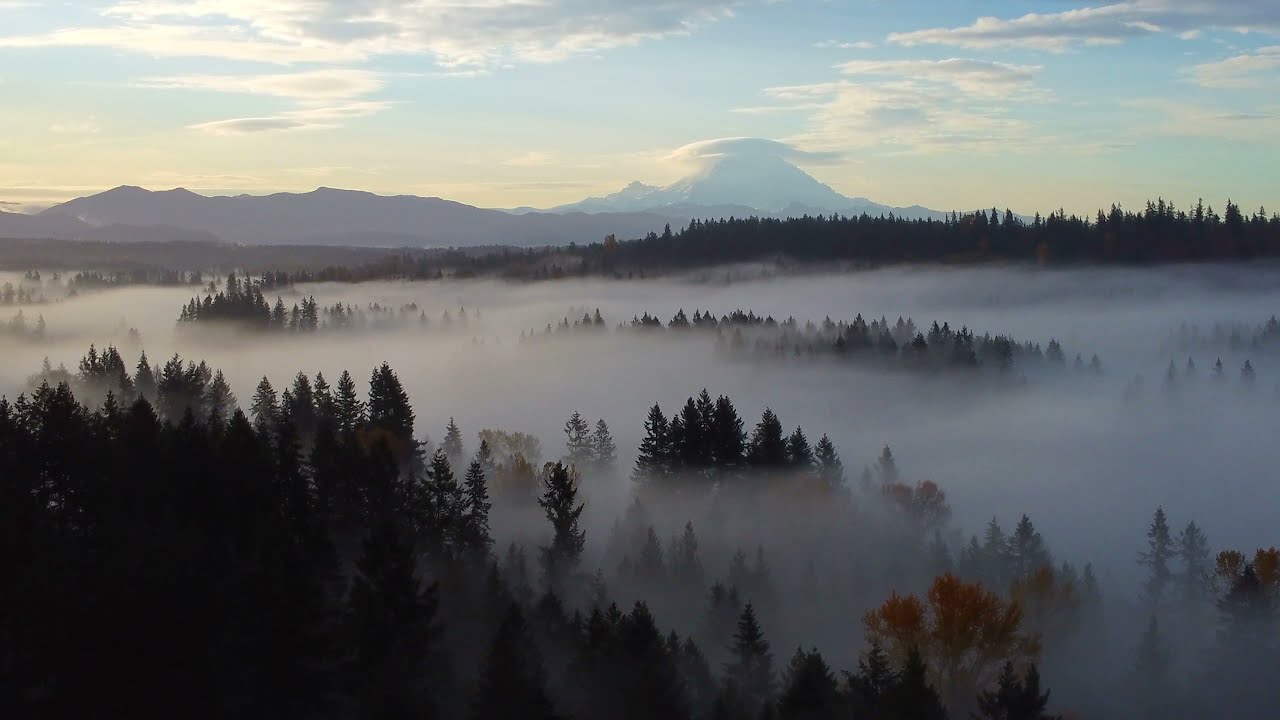 Morning Flight View of Mt. Rainier from Mirrormont, Issaquah, WA 11