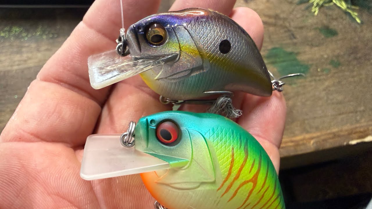 The Most Consistent Way To Catch Shallow Summer Bass…