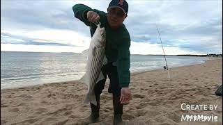 Fishing Highlights (Stripers And Mackerel).... Enjoy!