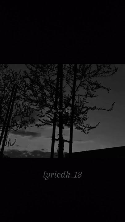 Kabhi kahi lag jaye dil toh #lyrics #viralvideo #shortvideo #lyricvideo #oldisgold  #youtubeshort