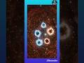 Star #facts #viral #shorts #video #status #bestyoutuber