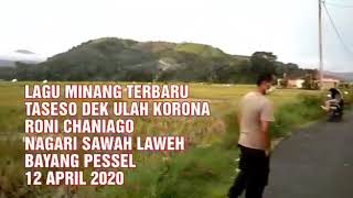 Single Terbaru Dari Roni Chaniago - Taseso Dek Ulah Corona (Di Nagari Sawah Laweh Bayang Pessel)