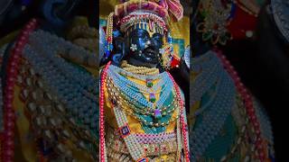 🙏____कृष्णं_वन्दे_जगद्गुरुम्____🙏#shotoniphone#Krishna#rukmini#dwarkadhish#gujaratinews #shortvideo